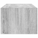 vidaXL Meuble TV avec lumières LED sonoma gris 100X35 5x25 cm