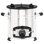 vidaXL Poêle à bois avec ventilateur USB Argenté 35 5x26x28 cm Inox