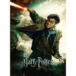 Harry potter puzzle 100 pieces xxl - le monde fantastique d'harry potter - ravensburger - puzzle enfant - des 6 ans