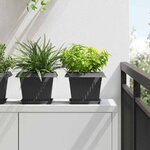 vidaXL Pot de Fleurs Carré 24 pc Noir 23 x 23 x 17 5 cm Plastique