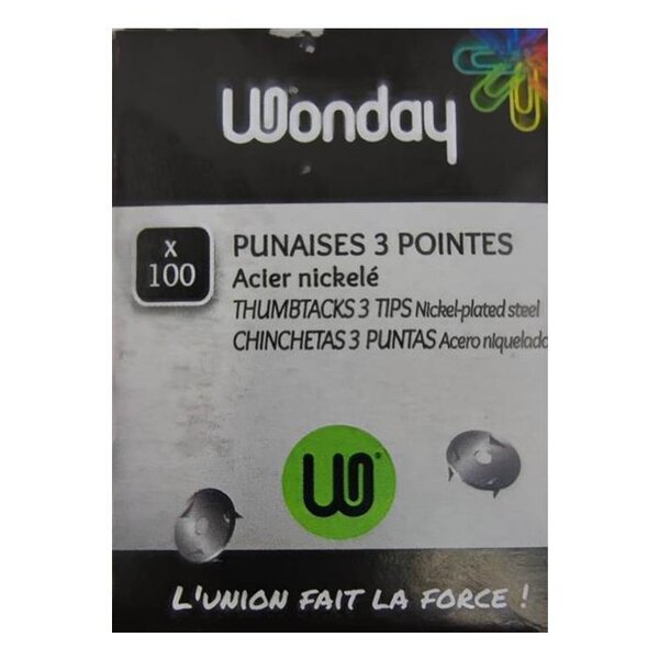 Boite de 100 punaises 3 pointes acier nickelé WONDAY