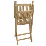 vidaXL Chaises pliables de jardin lot de 2 bois massif d'acacia