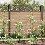 Supports de plante en spirale vidaXL (20 Pièces  150 cm  Acier)