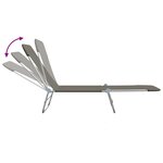 vidaXL Chaises longues pliables lot de 2 Acier et tissu Gris
