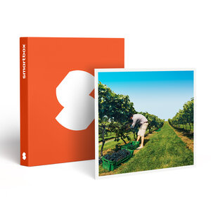 SMARTBOX - Coffret Cadeau À la découverte de nos vignobles -  Gastronomie