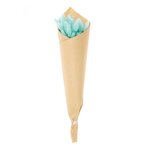 12 tiges de lagurus séchés turquoise - 45 cm