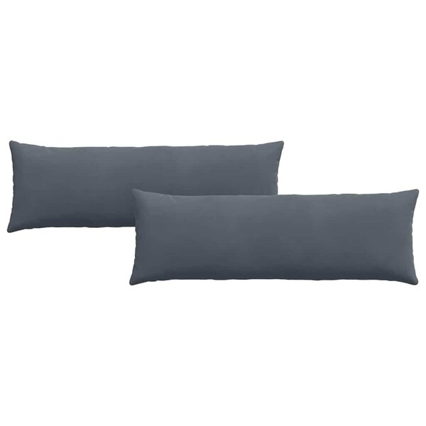 vidaXL Coussins de canapé 2 Pièces Gris foncé 120 x 40 cm