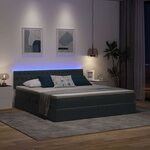 vidaXL Lit avec rangement et LED Gris foncé 160 x 200 cm Velours