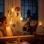 Philips ampoule led giant 5 w 300 lumens flamme 929001817101