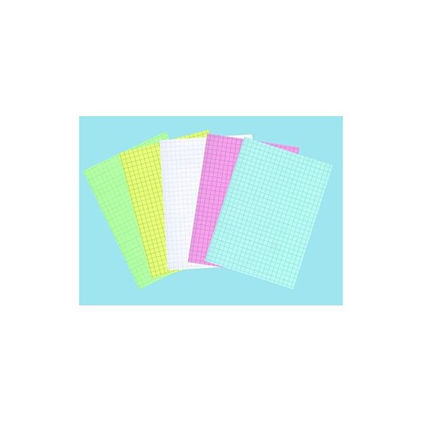 ELVE 100 FICHES BRISTOL 210X297 - Quadrillé 5/5 - Blanc