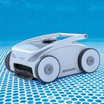INTEX INTEX Aspirateur de piscine hors sol ABS et PC Gris et Noir