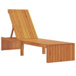 vidaXL Transat 1-personne Marron 200 x 55 x 94cm Bois d'acacia massif
