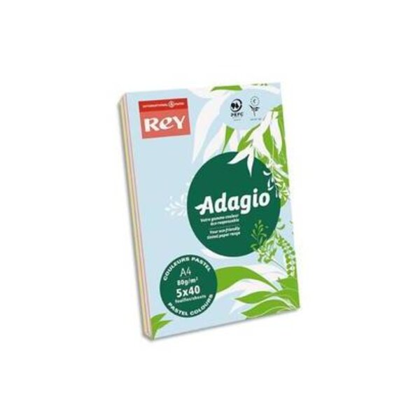 PAPYRUS Ramette 40 feuilles x 5 teintes ADAGIO 80g format A4 assortis pa... PAPETERIES DE FRANCE