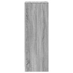 vidaXL Buffet avec LED sonoma gris 38x34x100 cm bois d'ingénierie