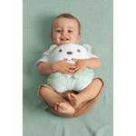 Peluche tendre Ourson Vert