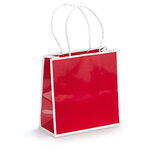 Sac bicolore rouge 25,3 x 25,3 x 10 cm