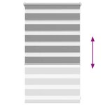 vidaXL Store 50x100 cm Gris