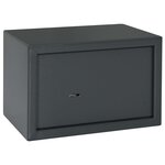 vidaXL Coffre-fort avec serrure à clé gris foncé 20x31x20 cm en acier