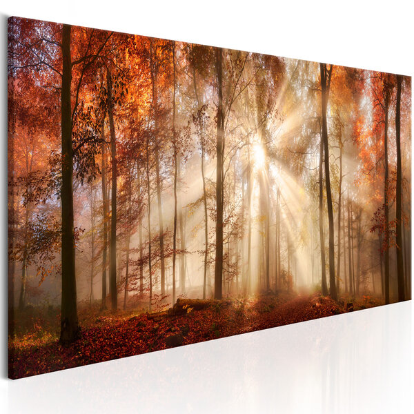 Tableau - autumnal dawn l x h en cm 135x45