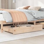 vidaXL Tiroirs sous le lit avec roulettes 2 Pièces 95x55x17 cm pin massif