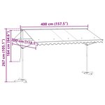 vidaXL Auvent autoportant 4 × 3 m Polyester Anthracite