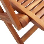 vidaXL Chaises pliantes de jardin avec accoudoir lot de 2