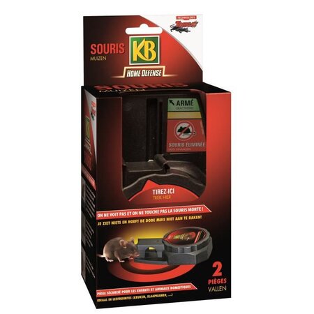 KB HOME DEFENSE Lot de 2 attrapes-souris