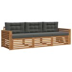 vidaXL Ensemble de canapés d'extérieur 3 Pièces Naturel et Anthracite