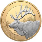 Pièce de monnaie en Argent 20 Dollars g 31.39 Millésime 2025 Animal Portraits ELK
