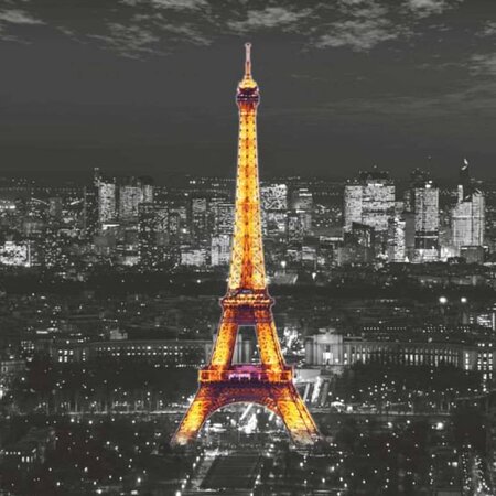 AG Design Papier peint photo Eiffel In The Night