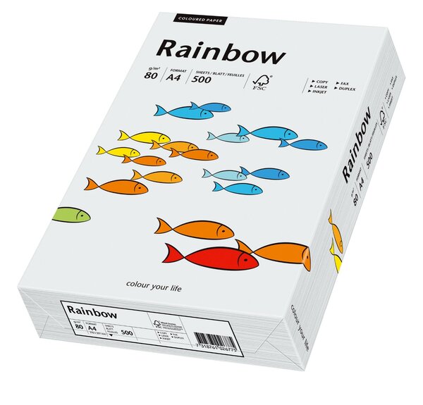 Ramette de 500 feuilles papier multifonction Rainbow A4 80 g Gris clair PAPYRUS