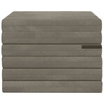 vidaXL Canapé-lit pliable 140 x 67 x 15 cm Gris clair