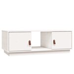 vidaXL Table basse Blanc 100x50x35 cm Bois massif de pin