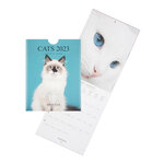 Petit calendrier mural chats - 2023 - draeger paris