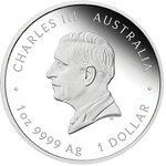 Pièce de monnaie en Argent 1 Dollar g 31.1 (1 oz) Millésime 2026 H.M. QUEEN ELIZABETH II (PRÉCOMMANDE)