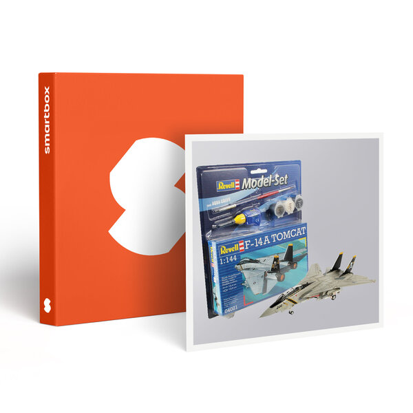 SMARTBOX - Coffret Cadeau Kit de construction de maquette d'avion -  Sport & Aventure