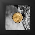 Pièce de monnaie en Or g 3.11 (1/10 oz) Millésime 2025 Wild Mongolia BISON