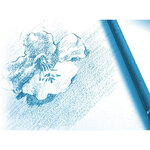 Bloc dessin à grain encollé A5 180g 30F CLAIREFONTAINE