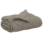 vidaXL Duvet d'été simple 220 x 200 cm Été 200 gsm Gris clair