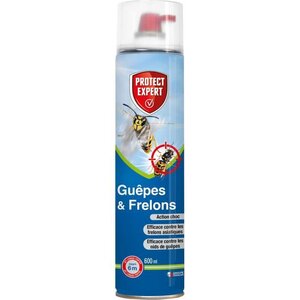 PROTECT EXPERT Foudroyant Guepes GUEP600 - 600 ml