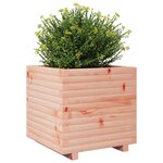 vidaXL Jardinière 50x50x49 5 cm bois massif de douglas
