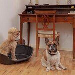 Panier-Corbeille Siesta Deluxe Taille 6 - 70 5 x 52 x 23 cm - Noir