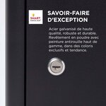 Boîte à colis Extra-Large Noir 1 porte Couvercle incliné Acier galvanisé SMART PARCEL BOX™