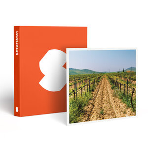 SMARTBOX - Coffret Cadeau Visite du vignoble de la Bastide des oliviers et de sa cave avec dégustation pour 2 -  Gastronomie
