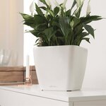 LECHUZA Jardinière QUADRO LS 35 ALL-IN-ON blanc brillant 16160