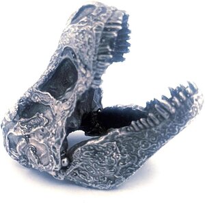 Pièce de monnaie en Argent g 93.3 (3 oz) Millésime  T-REX SKULL