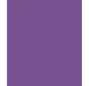Rouleau papier kraft 3x0.70m violet CLAIREFONTAINE