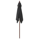 vidaXL Parasol de jardin avec mât en bois noir 198x198x231 cm