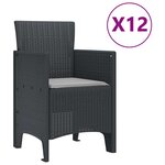 vidaXL Ensemble de salle à manger pour jardin 13 Pièces Anthracite