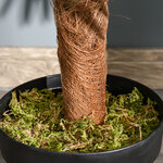 Palmier artificiel hauteur 1 7 m arbre artificiel tronc branches lichen grandes feuilles grand réalisme pot inclus